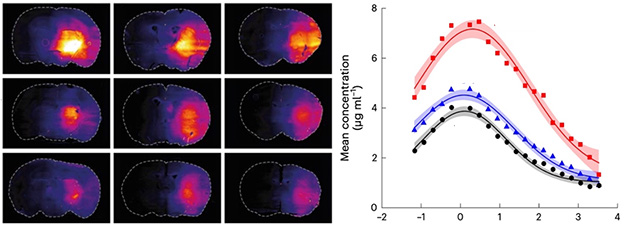 Does Sleep Really Speed Clearance from the Brain?