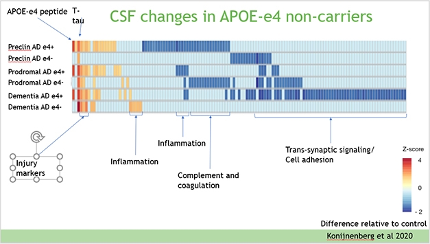 Do Lipids Lubricate ApoE's Part In Alzheimer Mechanisms? | ALZFORUM